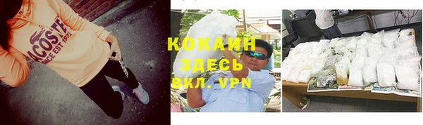мдпв Кинешма