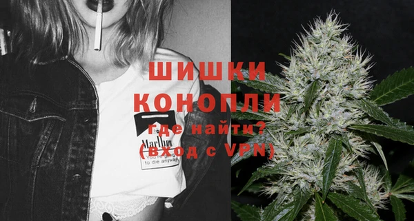 мдпв Кинешма
