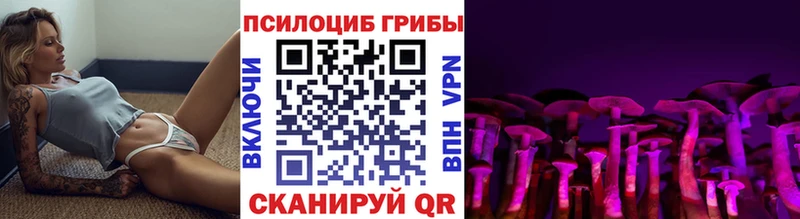 Галлюциногенные грибы прущие грибы  Купить  Троицк 